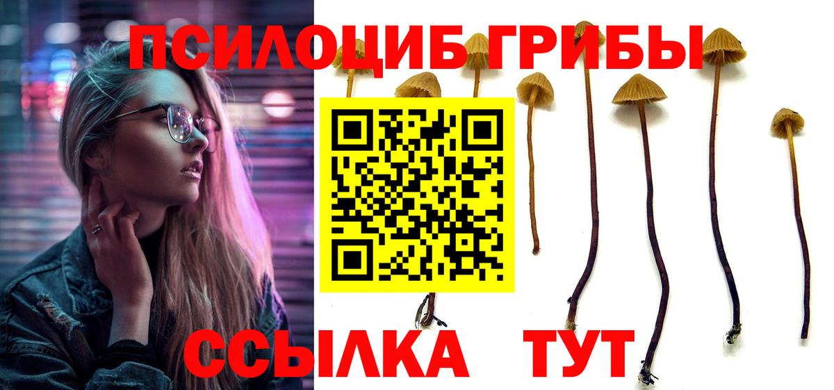 Галлюциногенные грибы мицелий Сланцы