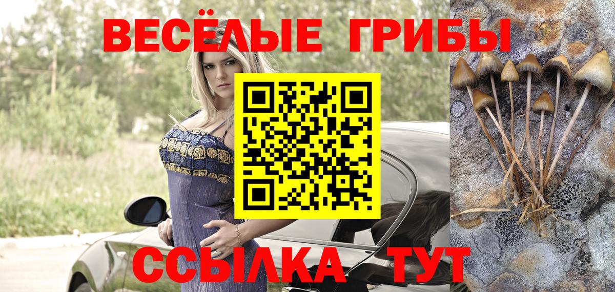 Псилоцибиновые грибы мицелий  Вход с VPN  цена наркотик  Галлюциногенные грибы мицелий  Сланцы 